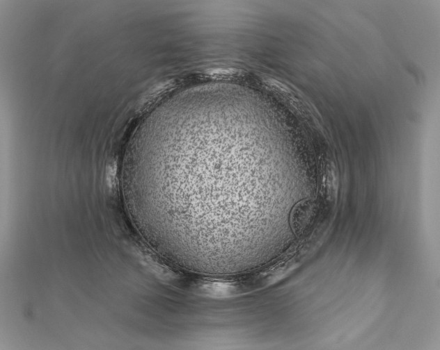 X0000112480610200908311412