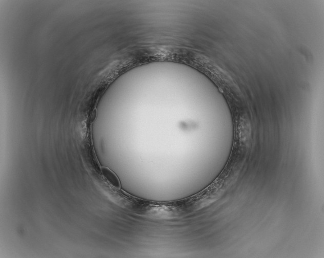 X0000112480611200908311412