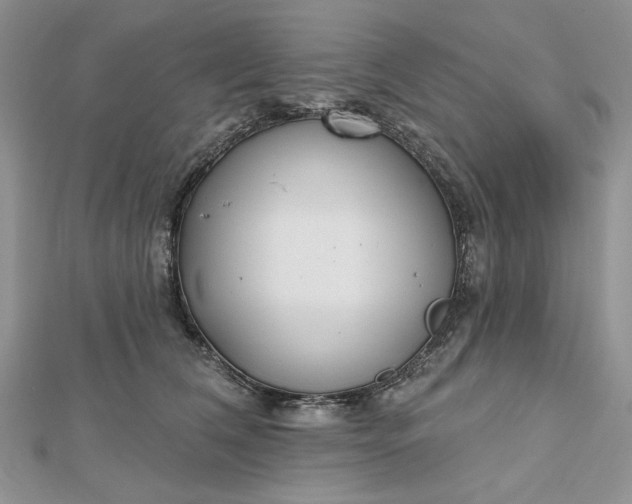 X0000112480612200908311412