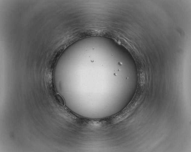 X0000112480613200908311412