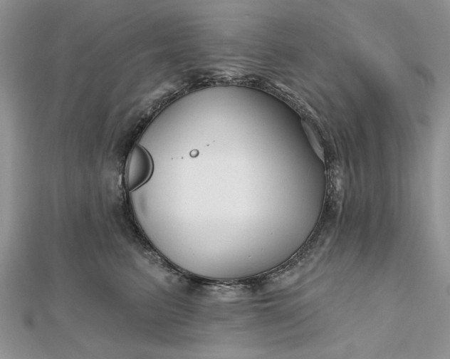 X0000112480615200908311412