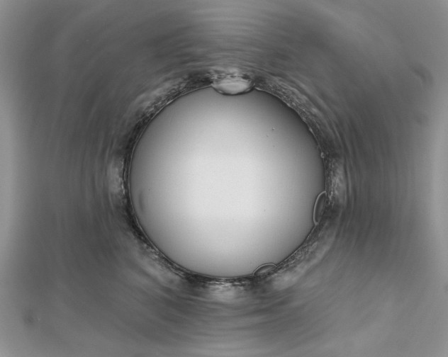 X0000112480616200908311412