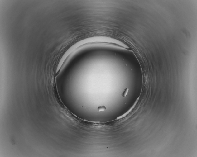 X0000112480617200908311412