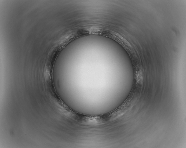 X0000112480618200908311412