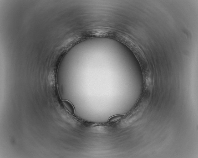 X0000112480620200908311412