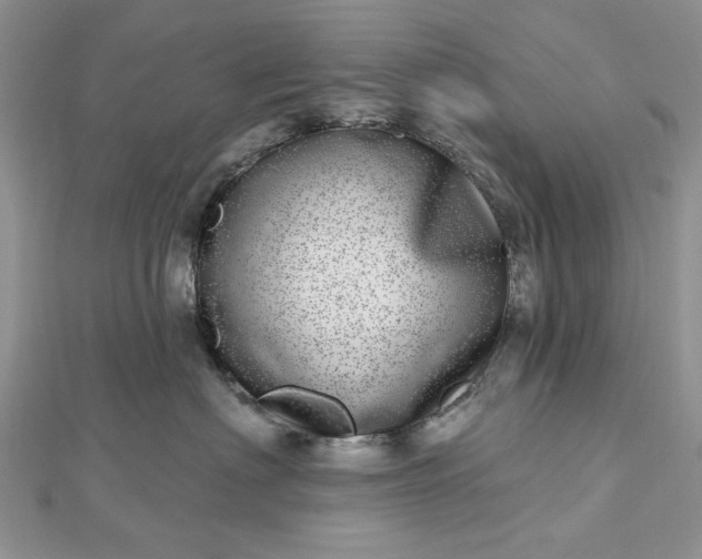 X0000112480622200908311412