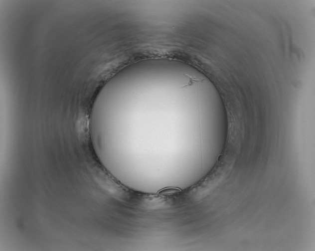 X0000112480624200908311412