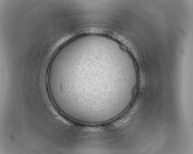 X0000112480625200908311411