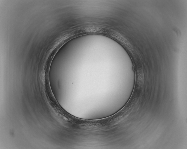 X0000112480626200908311411