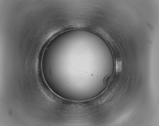 X0000112480627200908311412