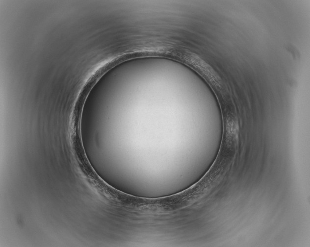 X0000112480628200908311412