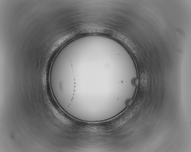 X0000112480629200908311412