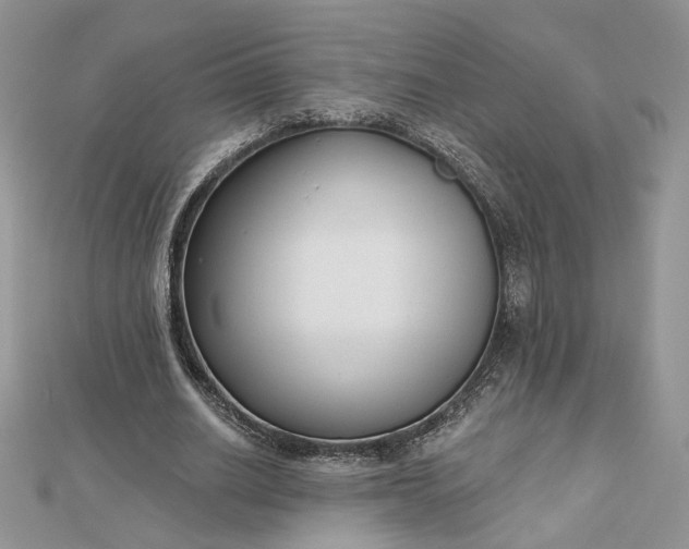 X0000112480630200908311412