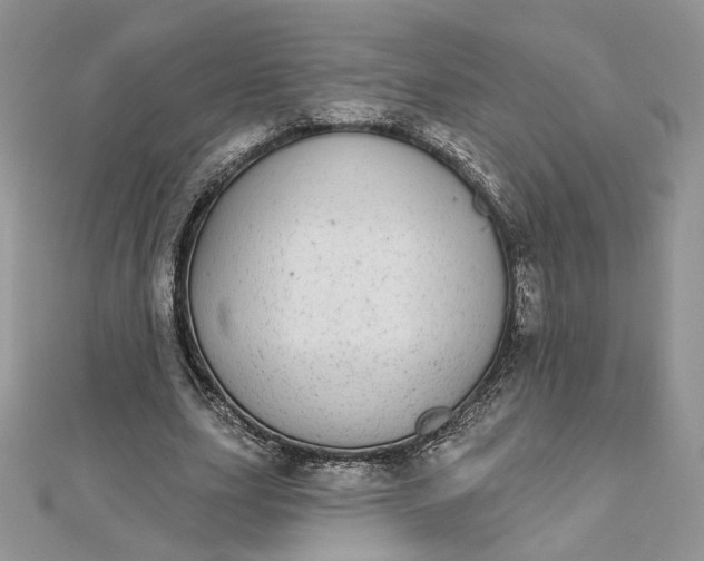 X0000112480631200908311412