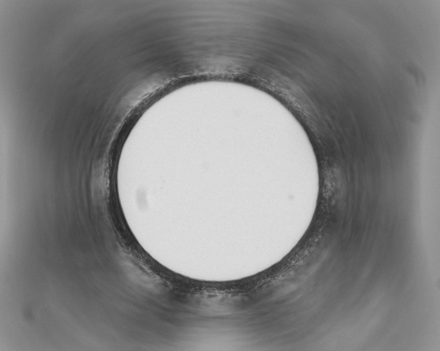 X0000112480632200908311412