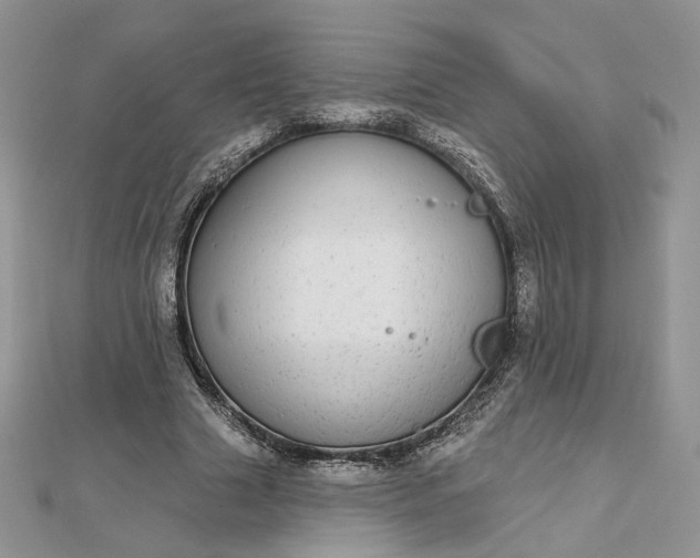 X0000112480633200908311412