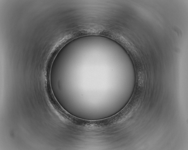 X0000112480634200908311412