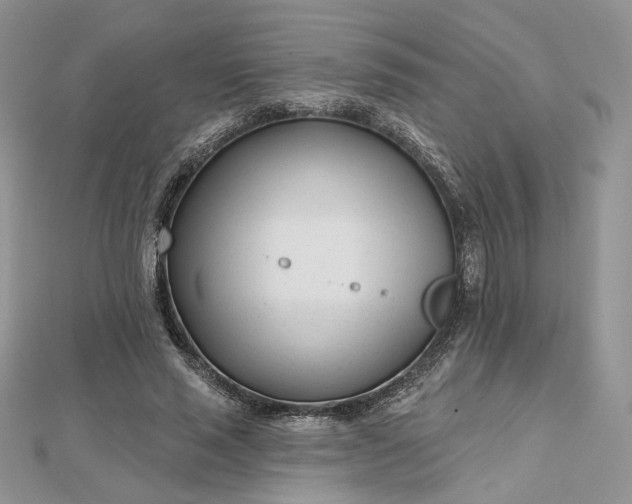 X0000112480637200908311412