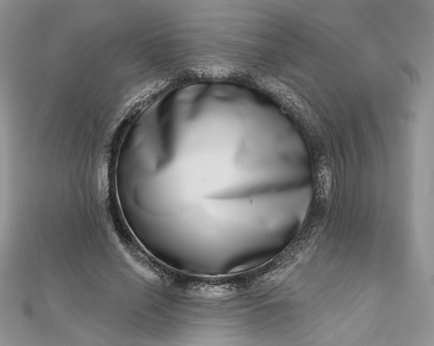 X0000112480638200908311412