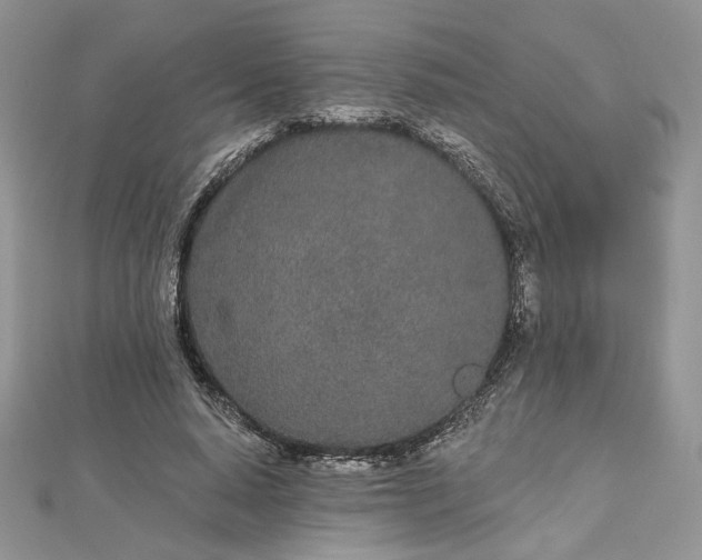 X0000112480640200908311412