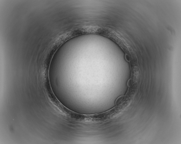 X0000112480641200908311412