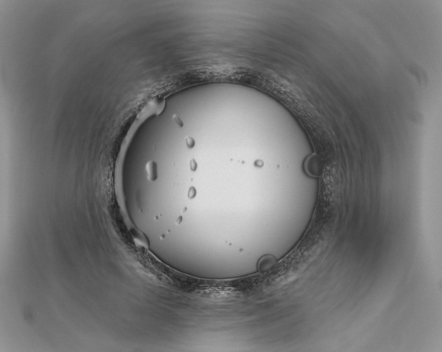 X0000112480642200908311412