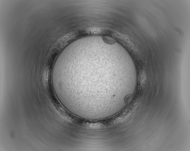 X0000112480645200908311412