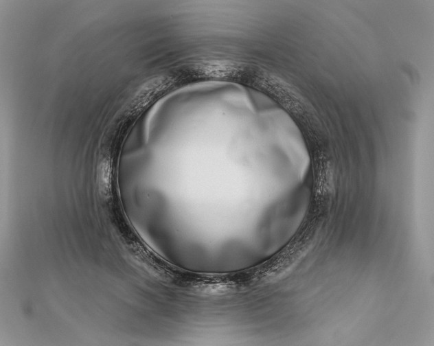 X0000112480646200908311412