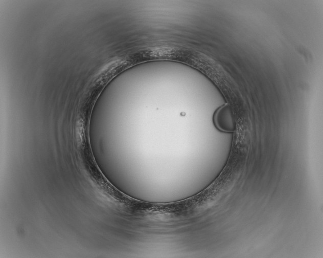 X0000112480648200908311412