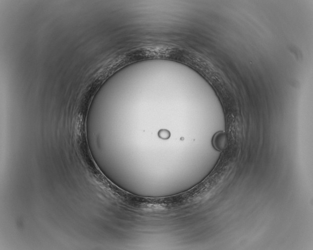 X0000112480649200908311412