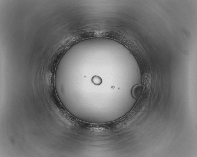 X0000112480650200908311412