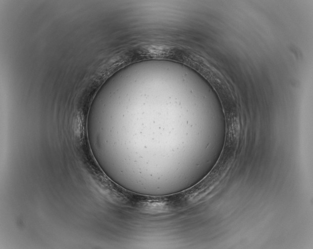 X0000112480651200908311412