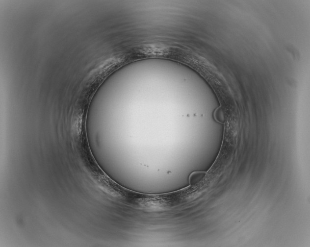 X0000112480652200908311412