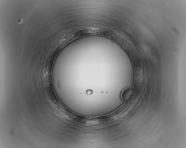 X0000112480653200908311412