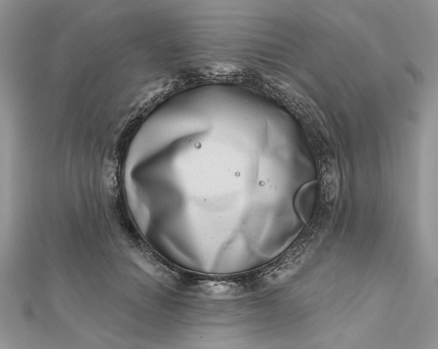 X0000112480654200908311412