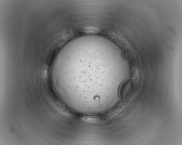 X0000112480655200908311412