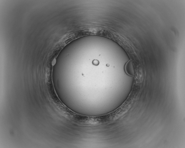 X0000112480656200908311412