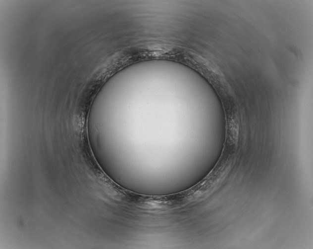 X0000112480657200908311412