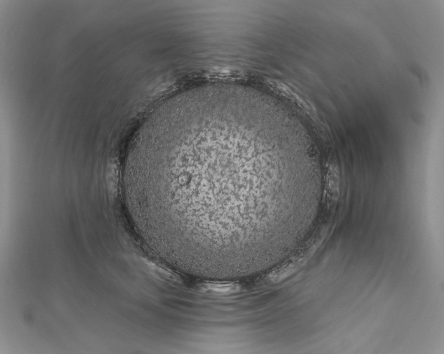 X0000112480659200908311412