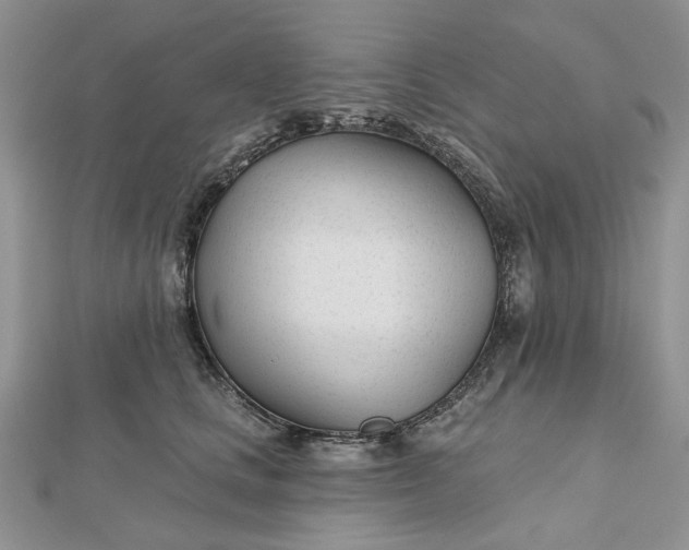 X0000112480661200908311412