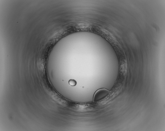 X0000112480662200908311412