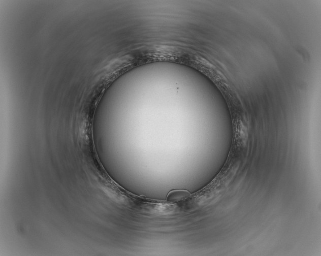 X0000112480663200908311412