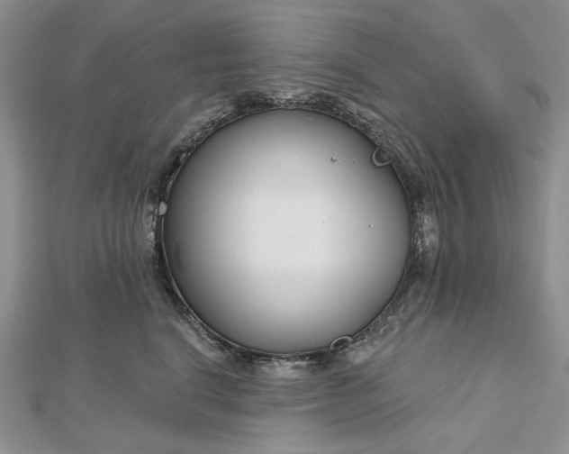 X0000112480664200908311412