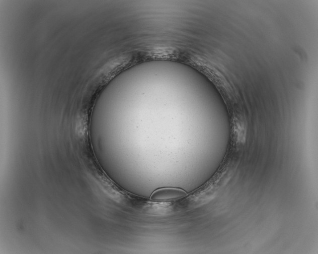 X0000112480665200908311412