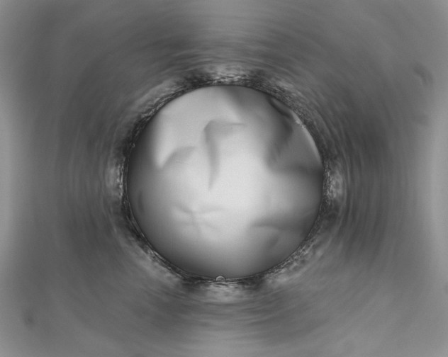 X0000112480666200908311412