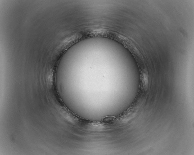 X0000112480668200908311412