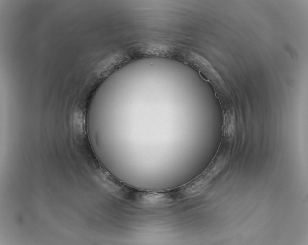 X0000112480669200908311412