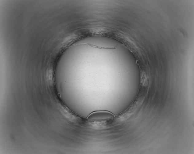 X0000112480670200908311412