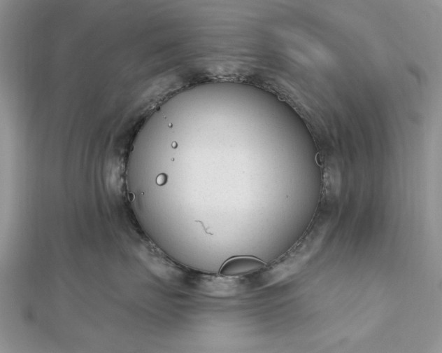 X0000112480671200908311412