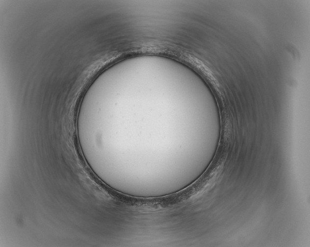 X0000112480673200908311411